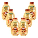 Garnier Shampoo gegen brüchiges Haar, Reparierendes Haarshampoo mit Akazienhonig und Bienenwachs, Für mehr Glanz und Geschmeidigkeit, Wahre Schätze Honig, 6 x 250 ml