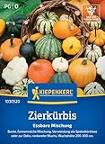 Kiepenkerl Zierkürbissamen Essbare Mischung 1030520 - Kürbissamen in verschiedenen Farben und Formen, als Speisekürbis oder zur Deko, rankender Wuchs bis zu 300 cm