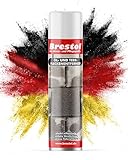 BRESTOL® ÖLFLECKENTFERNER SPRAY 400 ml Sprühdose - Ölfleckenentferner für Pflastersteine Parkplatzreiniger Werkstattboden-Reiniger