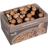 Hawlik Pilzbrut - Kleine Steinchampignon Pilzkultur zum selber züchten - Pilzzucht-Set - kinderleicht Pilze züchten – Zuchtset für zuhause - tolles Geschenk für Pilz und Gemüse Liebhaber