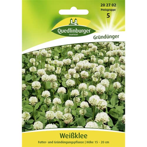 Quedlinburger Saatgut Weißklee Samen