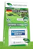 Rasensamen 1000 Gramm - schnellkeimende Rasensamen aus Deutschland für 40qm Rasen - Zuverlässige Rasennachsaat-Mischung 2023