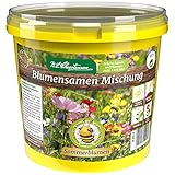 N.L. Chrestensen Blumensamen Mischung, Saatgut bienenfreundlich, Sommerblumen, Bienenweide, Bienen Blumen Samen, Blumenwiese für Bienen, reicht für 100 bis 200 m2 (1L Eimer)