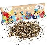 Bienenwiese Blumenmischung: 100g Premium Bienen Saatgut für bunte Bienenweide, Bienen und Hummelmagnet - bienenfreundliche Blumensamen Mischung ein- und mehrjährig - Blumenwiese Samen von OwnGrown