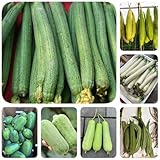 180 pcs Luffa Gurke Samen, Pflanzen Samen Geschenke Für Gartenfreunde Luffa aegyptiaca balkon gemüse geschenke für gartenliebhaber Balkon Gemüse Deko Pflanzen Seed Best Of gewürzgarten