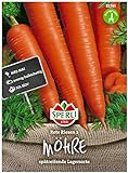 Sperli Premium Möhren Samen Rote Riesen 2 ; Große kegelförmige Rüben ; Karotten Samen für ca. 1000 Karotten