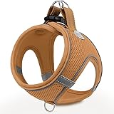 Joytale Hundegeschirr, Reflektierend Weich Gepolstert Hunde Geschirr, Air-Mesh Atmungsaktiv Brustgeschirr für Katze Welpen, Kleine Hunde, XXS, Khaki