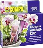 COMPO Orchideen-Aufbaukur – 4 Wochen Langzeitwirkung - für alle Orchideenarten - erste Hilfe bei Nährstoffmangel - 5 Ampullen je 30 ml
