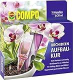 COMPO Orchideen-Aufbaukur – 4 Wochen Langzeitwirkung - für alle Orchideenarten - erste Hilfe bei Nährstoffmangel - 5 Ampullen je 30 ml