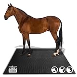 Floordirekt Stallmatte - 180 x 120 cm - rutschfeste Pferdematten Gummimatte mit Drainage für Stall, Pferdebox, Paddock - entlastende und gelenkschonende Oberfläche - Diamond Top