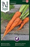 Möhren Samen 'Flakkée 2' von Nelson Garden - reiche Ernte von kurzen und dicken Winterkarotten - Karotten Samen (900 Stück)