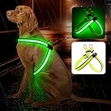 LED-Sicherheitsgeschirr für Hunde USB-Aufladbar 3 Lichtmodi Größe XS-L (Grün, L)