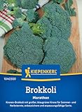 Kiepenkerl Brokkolisamen Marathon 1040300 - Kronen Brokkoli - große Früchte - blaugrün - anbausicher - Samengemüse, Saatgut, Gemüsepflanzen, Samen Anzucht