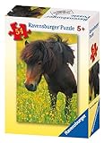 Ravensburger Pferde 54 Teile Mini Puzzle-Pinto im Gras