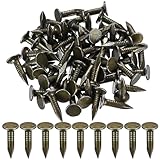 100 Stück Dachpappennägel, Dachpappnägel, Dachnägel für Filznägel, 20mm Extragroßem Kopf Clout Nails, Dachpappe Nägel für Holzschuppen Möbel Handwerker, legierter Stahl
