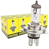 10x BREHMA H4 Halogen Lampe 12 Volt 60/55 Watt P43t