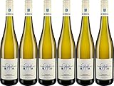 Georg Mosbacher Deidesheimer Riesling VDP.ORTSWEIN 2023 Feinherb Bio (6 x 0.75 l)