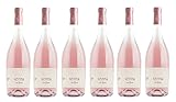 6x 0,75l - 2023er - Tenuta San Leonardo - Gemma - Rosé - Trentino I.G.P. - Italien - Rosé-Wein trocken