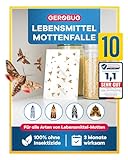 GEROBUG Lebensmittelmotten-Falle - 10 x geruchlose Pheromonfalle zum Fangen von Motten in allen Räumen - insektizidfreie Lebensmittel-Mottenfalle mit über 12 Wochen Langzeitwirkung