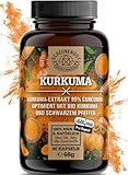 Kurkuma Kapseln - WICHTIG: 50:1 Extrakt (=15800mg Curcuma pro Stk) MIT 95% Curcumin +Bio Kurkuma Pulver I Optimiert mit Piperin -Laborgeprüft- 90 Curcuma Kapseln -DE- SCHEUNENGUT®