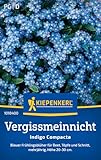Kiepenkerl Vergissmeinnichtsamen Indigo Compacta 1018400 - Pflegeleichte Vergissmeinnicht-Samen für Blumenwiese, Essbare Blüten, Ideal für Gärtner, Mehrjährig