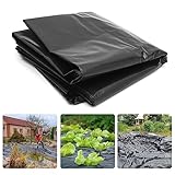 PALUDO 2 x 3M Extra Dick Polyethylen Folie Schwarz Gewächshausfolie Plastikfolie Staubschutzfolie Reißfest Gartenfolie aus Polyethylen für Gartenarbeit Treibhaus Folientunnel (250Mu / 1000G)