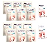 Kattovit Feline Diet Niere/Renal Bundle 12plus2 Ente | Nassfutter und Cream für Katzen | Zur Unterstützung der Nierenfunktion | alle Sorten