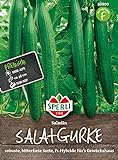 80900 Sperli Premium Gurken Samen Saladin | Schlangengurken Samen | Gurkensamen Gewächshaus | Samen Gurke | Salatgurken Samen
