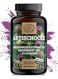 Artischockenextrakt -2400mg Tagesdosis MIT 5% Cynarin- WICHTIG: 30:1 Extrakt (=72000mg Artischocke) I 180 Artischocken Kapseln Hochdosiert I Laborgeprüft & Vegan -DE- SCHEUNENGUT®