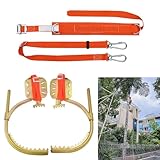 Baumkletterspikes mit Verriegelungskarabiner, Profi Steigeisen für Obstpflücken und Baumpflege