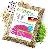 halmland® Rasensamen Schattenrasen schnellkeimend 2,5kg für 100m² - Premiumrasen für Schattenbereiche - Grassamen trockenresistent Frühjahr - made in Germany - Schattenrasensamen