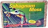 Lucky Reptile Sphagnum Moos Ziegel, Inhalt:5 Liter