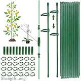 Pflanzenstütze, Rankhilfe, 20 Stück Pflanzenhalter, mit 20 Karabinern Ausgestattet, mit 10 Verlängerungsrohren, Tomaten Rankhilfe, Rankhilfe Zimmerpflanzen, Staudenhalter, Pflanzen Stütze（90PCS）