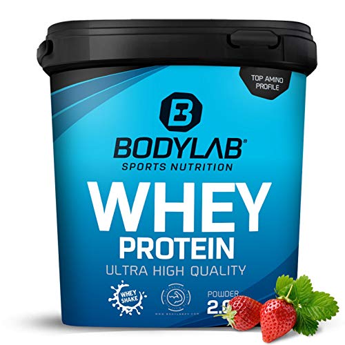 Protein-Pulver Bodylab24 Whey Protein Erdbeere 2kg, Protein-Shake für Kraftsport & Fitness, Whey-Pulver kann den Muskelaufbau unterstützen, Hochwertiges Eiweiss-Pulver mit 80% Eiweiß, Aspartamfrei