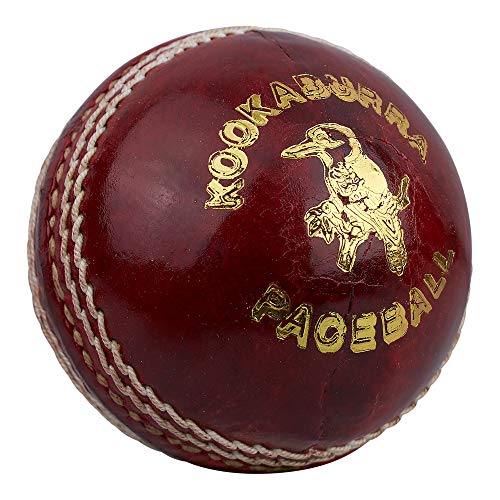 Kookaburra Paceball Cricketball, 156 ml, Rot