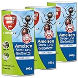 3X Protect Home Forminex Ameisen Streu- und Gießmittel 500g