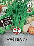 Sperli Schnittlauchsamen Staro 84631 – Kräutersamen für einen grobröhrigen und standfesten Schnittlauch mit einem Inhalt für 8 bis 10 Meter - Saatgut