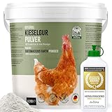 AniForte Kieselgur für Hühner 4,2kg inkl. Stäubeflasche - Reines Kieselgur Hühner Pulver, Kieselerde Pulver, Naturprodukt für Hühnerstall, Laborgeprüft für Geflügel Betriebe