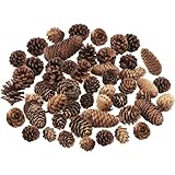 TaoQ C 40 Stücke Kiefernzapfen Dekorationen, natürliche Kiefernzapfen Bulk Paket für große mittlere und Mini Größe rustikale Kiefernzapfen Ornamente für Tabelle Weihnachtsbaum Handwerk Geschenke