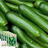 Gurken Samen, 100 Obst Gurkensamen + Dünger 25g, Gurkensamen, Einlegegurken Samen, Snackgurken Samen, Gemüsesamen, Salatgurken, Bio Einlegegurken Samen für Balkon, Garten, Hochbeet