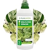 Purgrün® Efeututen-Dünger 1 Liter – Intensive Blattfärbung dank Spurennährstoffe – Stärkt die Widerstandskraft – Schneller Wirkungseintritt – Ergiebiges Konzentrat für ca 400 Liter Gießwasser