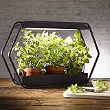 Northpoint Design LED Pflanzenlampe Pflanzenleuchte Kräutergarten Innengarten Gewächslampe Metallgestell 14W 1000 Lumen Timer Industrial-Look