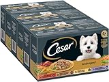 Cesar Hundefutter Nassfutter Landküche Vielfalt in Sauce 24 Schalen (3 x 8 x 150 g)