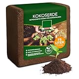 Floordirekt Kokoserde gepresst - 75 Liter Blumenerde aus Kokosfaser - Anzuchterde - Aussaaterde - Pflanzenerde - Quellerde