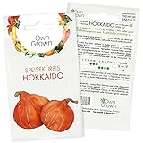 Hokkaido Samen: Premium Uchiki Kuri Hokkaido Kürbis Samen zur Anzucht von 6 Kürbis Pflanzen – Gemüse Samen für die Hokkaido Kürbis Pflanze – Kürbissamen Hokkaido – Hokaido Samen Gemüse von OwnGrown