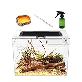 Reptile Growth Mini Terrarium Komplettset, 12' x 7'x 9' Faunarium für,Schnecken,Insekten,Wasserschildkröten，Vogelspinnen,Springspinne,Leopard Gecko,Bärtiger Drache ，Frosch,Aquarium,Einsiedlerkrebs