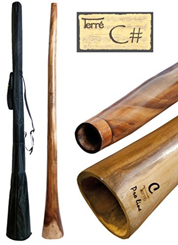 Didgeridoo aus Eukalyptus Tonhöhe CIS ca. 165-175 cm professionell perfekte Toots Reisetasche Aborigines Australien Percussion