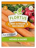 FLORTUS Möhre & Radies Saatband | 3 Saatbänder | Samenband zum Gemüse züchten mit Möhren Samen und Radieschen Samen | Karotten und Radieschen Saatband ideal für Anfänger