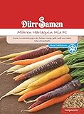 Bunte Möhren Samen Karotten Harlequin Mix F1 Gemüsesamen ca 500 Korn Garten Hochbeet Saatgut Gemüse Möhrensamen Karottensamen Möhre Dürr Samen