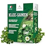 LERAVA® Klee samen [mähfrei] 50m² - Mikroklee Samen für Garten - Weißklee Samen geeignet für Schattige und Sonnige Plätze - Verbesserte Bodenqualität durch Stickstofffixierung - Kleesamen